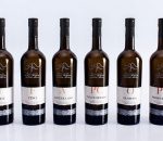Andalucía mejora la caracterización de sus vinos tradicionales con D.O