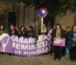La Asamblea Feminista considera un error que el equipo de gobierno del PSOE haya suprimido la concejalía de Mujer