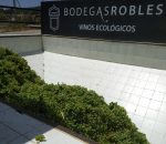 Bodegas Robles recoge las primeras uvas PX para elaborar el Agraz-Verjus, el recuperado aliño andalusí