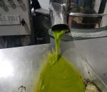 Montilla ha producido 8.487 toneladas de aceite de oliva de las 142.000 producidas en la provincia de Córdoba