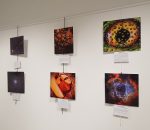 Convocada la III Edición del Concurso de Fotografía Científica: Ciencia en una Foto
