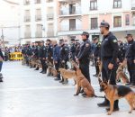 Unos 80 perros de Unidades Caninas de Policía Local de España participan en una exhibición en la Plaza de la Rosa