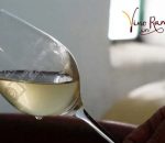 La Asociación Vino en Rama se adhiere al programa Wine in Moderation