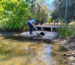 Montilla activa su plan de control contra el mosquito transmisor del virus del Nilo
