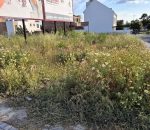 El Ayuntamiento recuerda la obligación de mantener desbrozados los solares urbanos