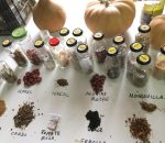 ‘Somos Naturaleza’ busca centros educativos para construir un banco comunitario de semillas en Montilla