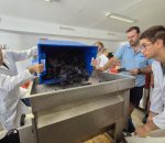 Entrevista|El IES Emilio Canalejo hace su vendimia con el alumnado de los Ciclos de Alimentaria