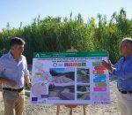 Finalizan las obras en 2 kilómetros del Cordel de la Zarza con una inversión de 293.000 euros