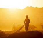 Convocado el XXIV Concurso de Fotografía Turística “Premio  Unicornio 2025” 