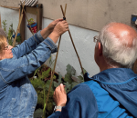 Vuelven los Huertos Terapéuticos de la Fundación Somos Naturaleza