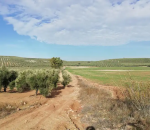 El Ayuntamiento habilita un canal para comunicar incidencias en caminos rurales tras las intensas lluvias