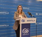 El PP explica su rechazo a los presupuestos municipales por no priorizar el desarrollo económico