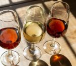 VitiVinum critica la ausencia de Moriles en la 40ª Cata del Vino Montilla-Moriles