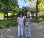 Montilla aprueba un plan pionero para impulsar y proteger el arbolado urbano