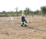El Ayuntamiento ha ejecutado el 90 por ciento de los desbroces previstos para prevenir incendios