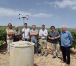 La tecnología y la inteligencia artificial se alían para prevenir el mildiu en Montilla-Moriles