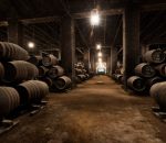 Plata para el Fino en Rama de Alvear en los Decanter World Wine Awards 2026