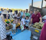 La Unión prepara su IV Vendimia Infantil con Montemayor como municipio invitado