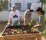 Fundación Somos Naturaleza impulsa huertos escolares inclusivos en Montilla