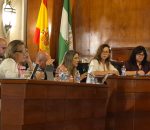 PP y PSOE apoyan reforzar la capacidad eléctrica de Montilla mientras IU reclama definir el modelo industrial