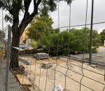 El temporal derriba un árbol junto al CEIP Gran Capitán y provoca el corte de la avenida de la Constitución