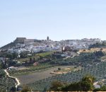 Montilla congelará los principales impuestos en 2027 y subirá un 8 por ciento la tasa de basura